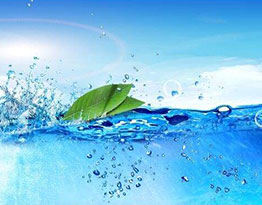 銷(xiāo)售網(wǎng)絡(luò)